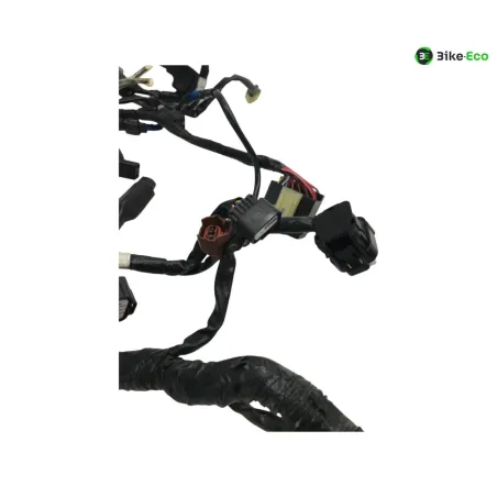 Faisceau electrique YAMAHA YZF 320 2019-2023 R3