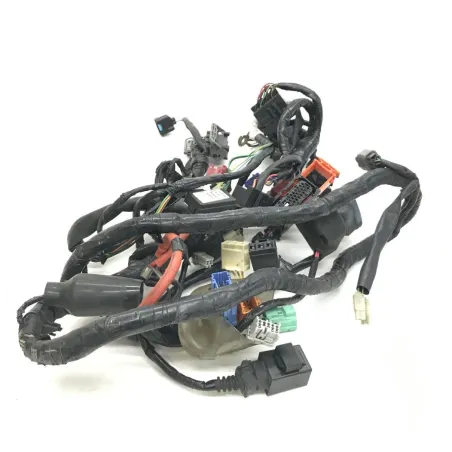 Faisceau electrique HONDA FES 125 2007-2013 S-WING