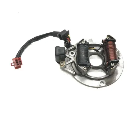 Stator alternateur SUZUKI RB 50 1986-1990 GSXR GAG