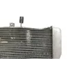 Radiateur eau YAMAHA YZF 320 2019-2023 R3