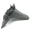 Support de plaque et eclairage SUZUKI UH 125 2002-2006 BURGMAN