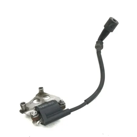 Bobine allumage YAMAHA YPR 125 2014-2017 XMAX ABS
