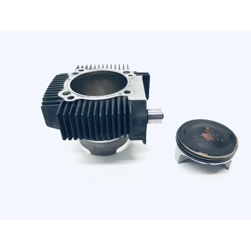 Cylindre DUCATI SCRAMBLER 1100 2020-2022 PRO