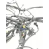 Faisceau electrique PIAGGIO X10 125 2012-2015