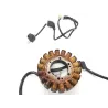 Stator alternateur YAMAHA FJR 1300 2013-2020 Stator alternateur YAMAHA FJR 1300 2013-2020