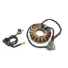 Stator alternateur YAMAHA FJR 1300 2013-2020 Stator alternateur YAMAHA FJR 1300 2013-2020