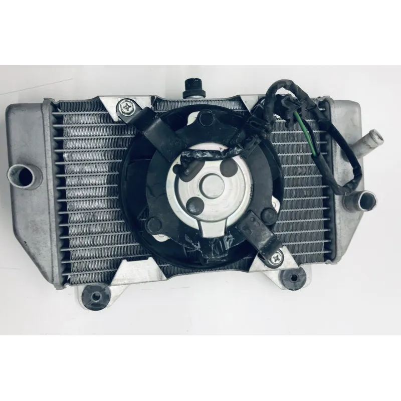 Radiateur eau HONDA NSS 250 2005-2008 FORZA ABS