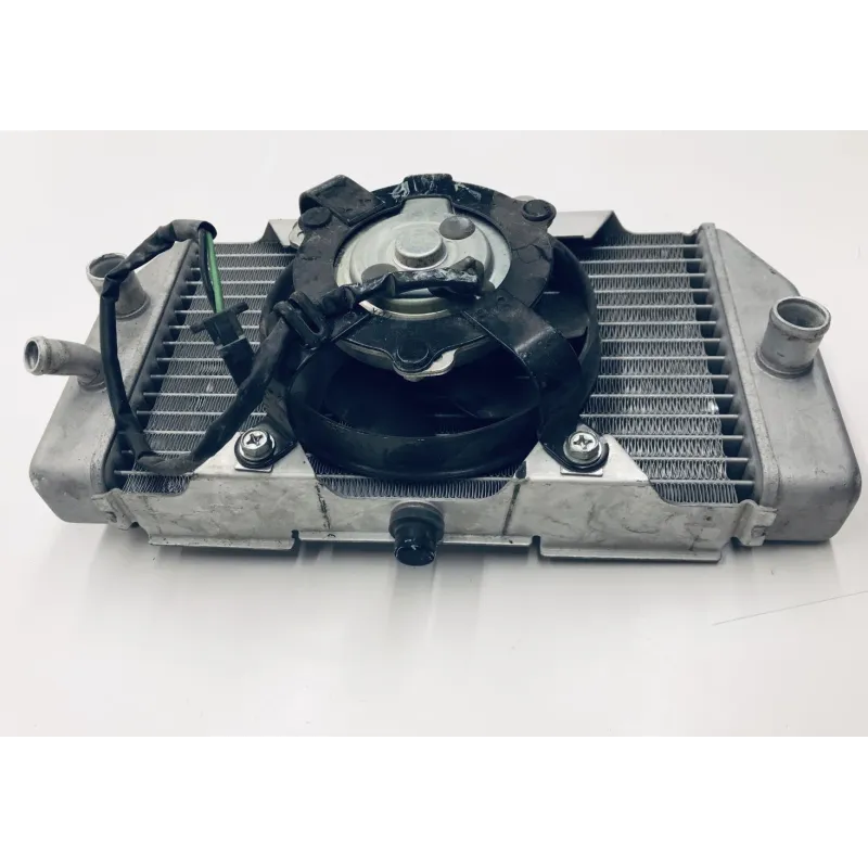 Radiateur eau HONDA NSS 250 2005-2008 FORZA ABS