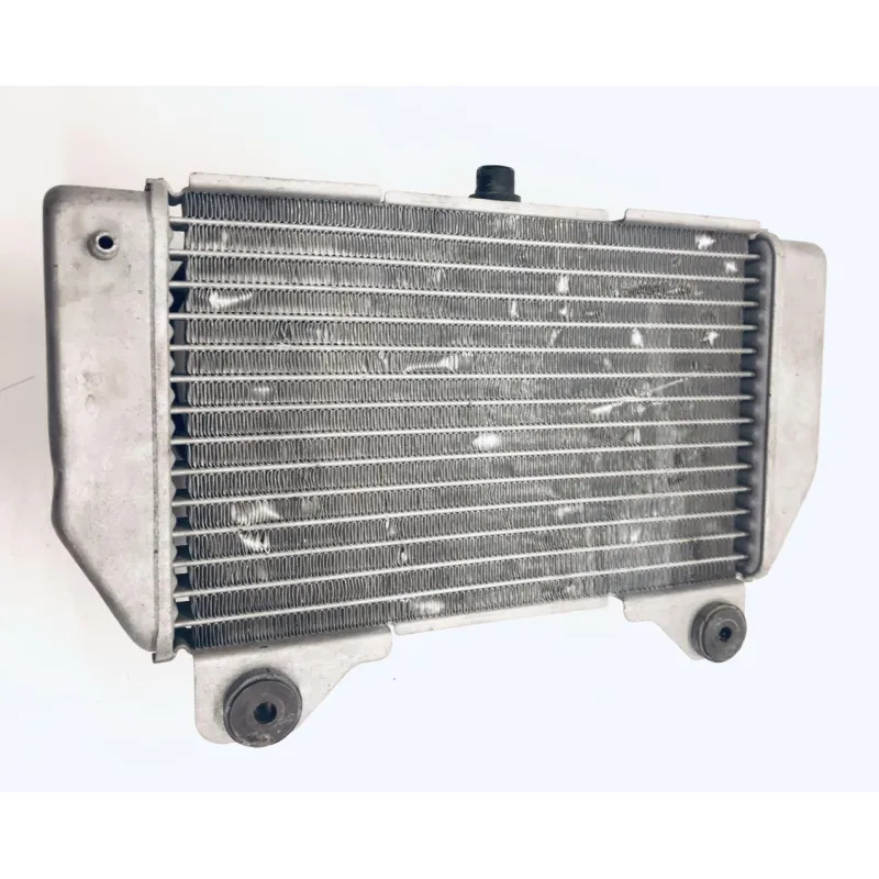 Radiateur eau HONDA NSS 250 2005-2008 FORZA ABS