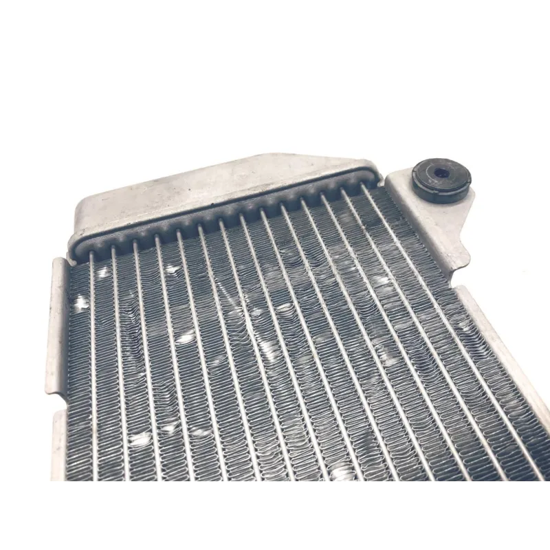 Radiateur eau HONDA NSS 250 2005-2008 FORZA ABS