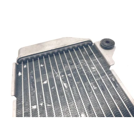 Radiateur eau HONDA NSS 250 2005-2008 FORZA ABS
