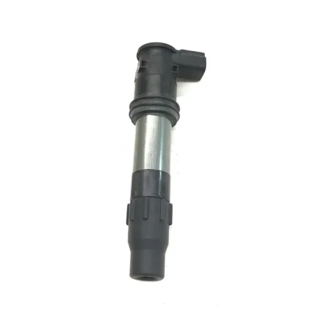 Bobine allumage crayon SUZUKI AN 650 2003-2005 BURGMAN