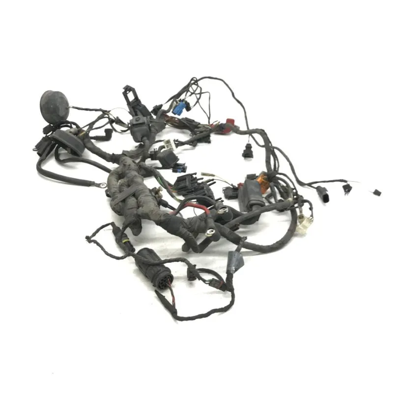 Faisceau electrique BMW F 650 CS 2002-2006 SCARVER