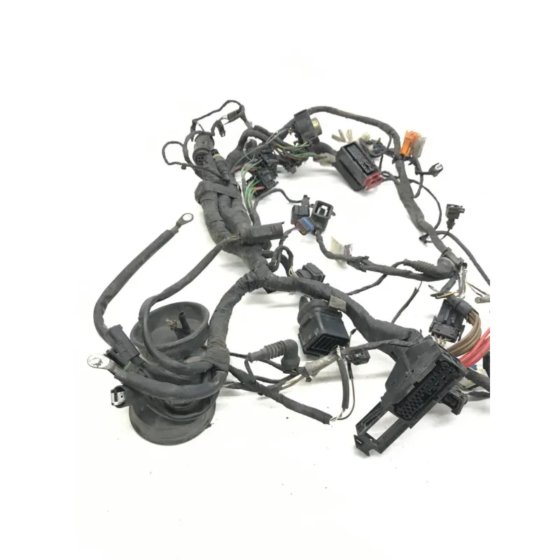 Faisceau electrique BMW F 650 CS 2002-2006 SCARVER