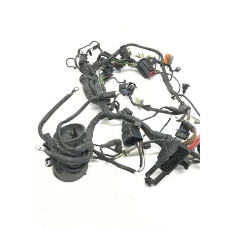 Faisceau electrique BMW F 650 CS 2002-2006 SCARVER