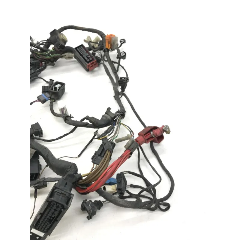 Faisceau electrique BMW F 650 CS 2002-2006 SCARVER