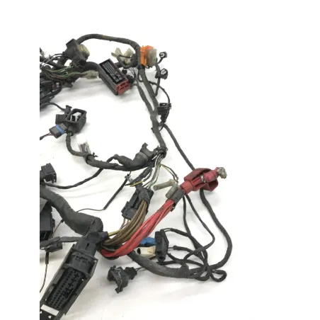 Faisceau electrique BMW F 650 CS 2002-2006 SCARVER