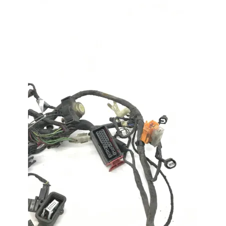 Faisceau electrique BMW F 650 CS 2002-2006 SCARVER