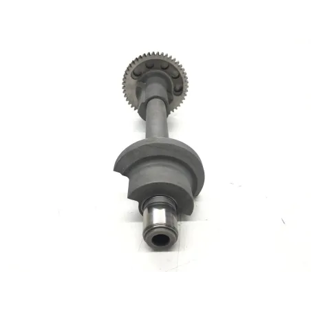 Arbre equilibrage TRIUMPH DAYTONA 955 I 1999-2001