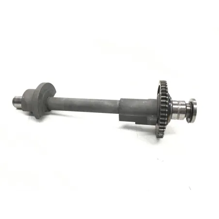 Arbre equilibrage TRIUMPH DAYTONA 955 I 1999-2001