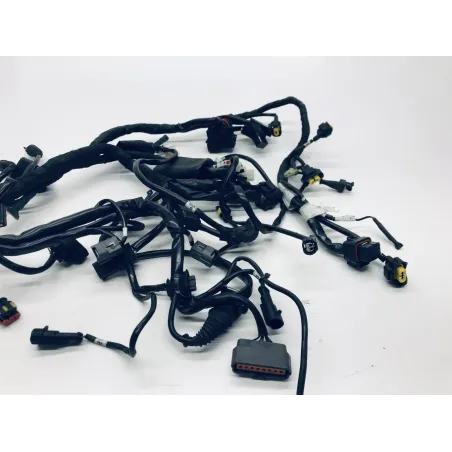 Faisceau electrique DUCATI MULTISTRADA 1200 2010-2012 S
