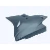 Demi sabot gauche BMW S 1000 RR 2017-2018