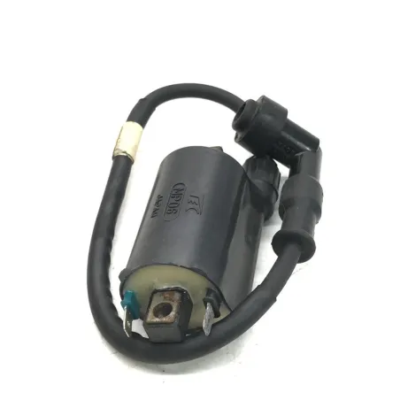 Bobine allumage HONDA FES 250 2000-2006 FORESIGHT
