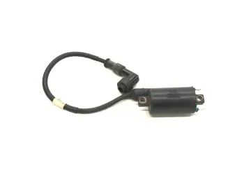Bobine allumage HONDA FES 250 2000-2006 FORESIGHT