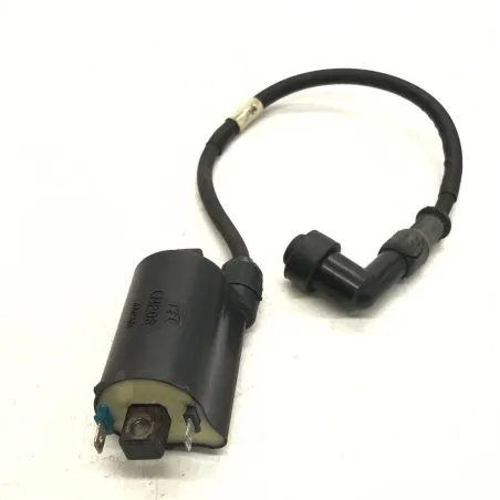 Bobine allumage HONDA FES 250 2000-2006 FORESIGHT