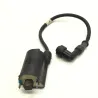 Bobine allumage HONDA FES 250 2000-2006 FORESIGHT