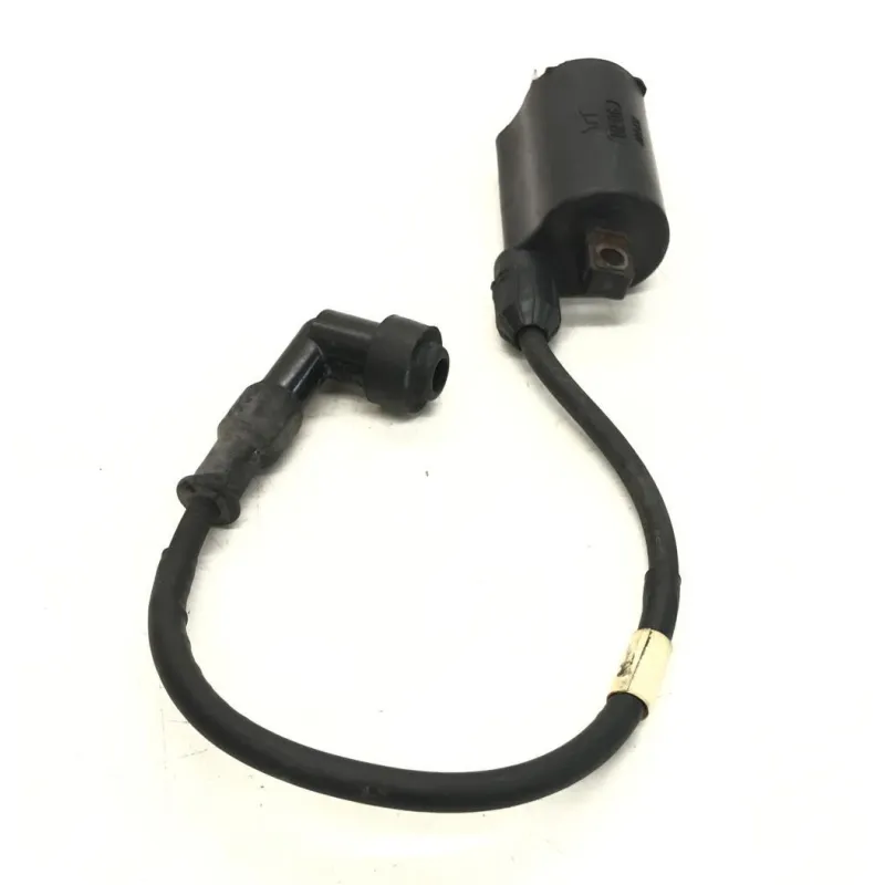 Bobine allumage HONDA FES 250 2000-2006 FORESIGHT