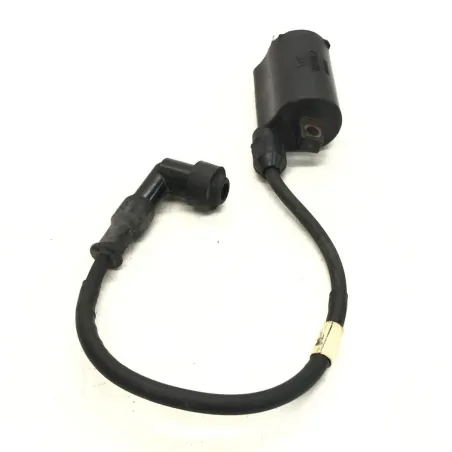 Bobine allumage HONDA FES 250 2000-2006 FORESIGHT