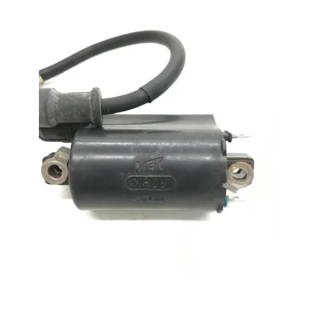 Bobine allumage HONDA FES 250 2000-2006 FORESIGHT