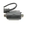 Bobine allumage HONDA FES 250 2000-2006 FORESIGHT