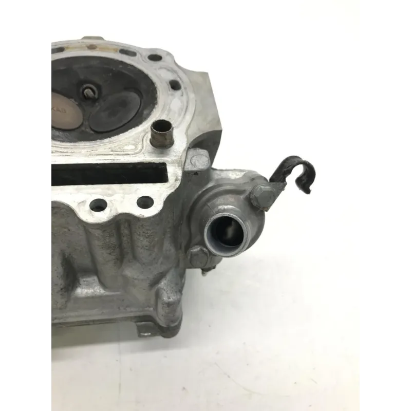 Culasse HONDA FES 250 2000-2006 FORESIGHT