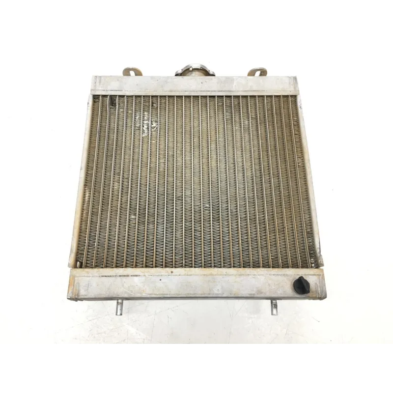 Radiateur eau POLARIS SCRAMBLER 500 2007-2009 2X4