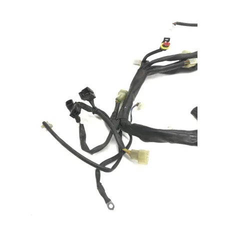 Faisceau electrique CAGIVA RAPTOR 650 2001-2006
