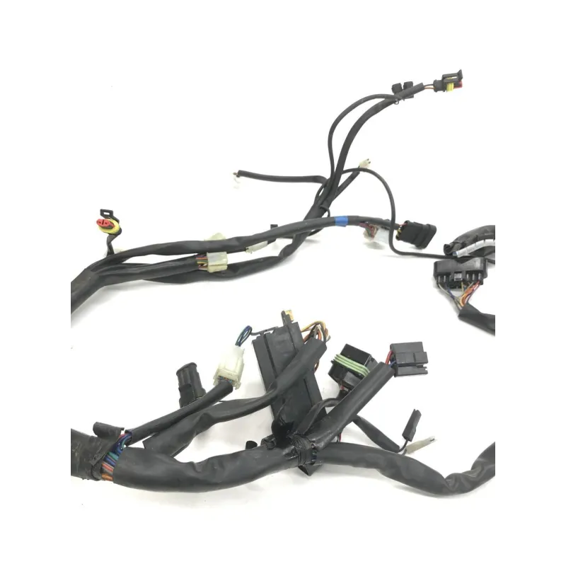 Faisceau electrique CAGIVA RAPTOR 650 2001-2006