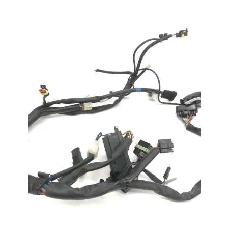 Faisceau electrique CAGIVA RAPTOR 650 2001-2006