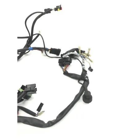 Faisceau electrique CAGIVA RAPTOR 650 2001-2006