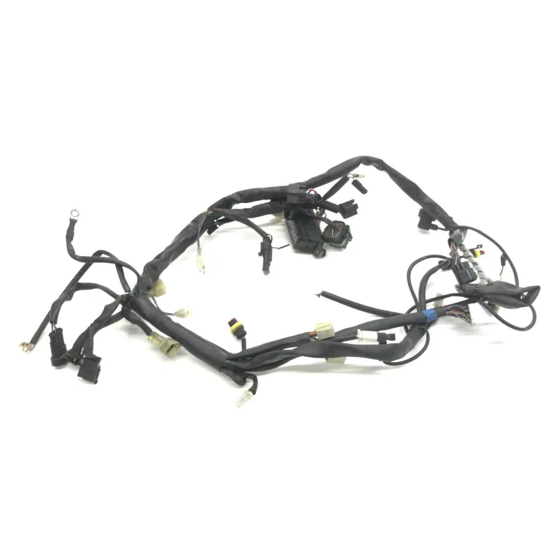 Faisceau electrique CAGIVA RAPTOR 650 2001-2006