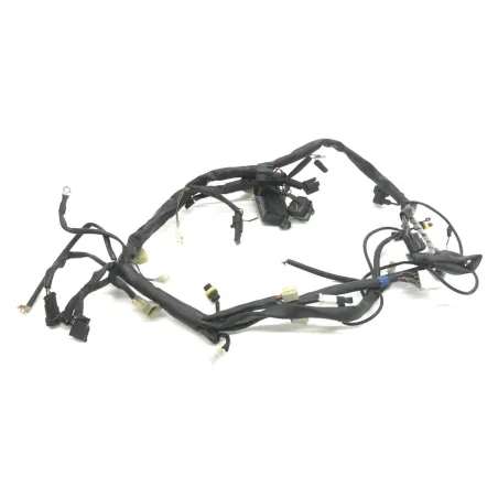 Faisceau electrique CAGIVA RAPTOR 650 2001-2006