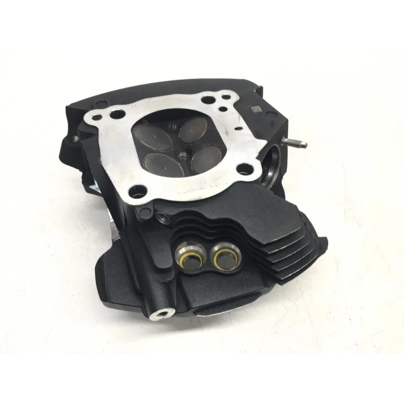 Culasse arriere HARLEY DAVIDSON FXBB 1745 2018-2020 SOFTAIL STREET BOB