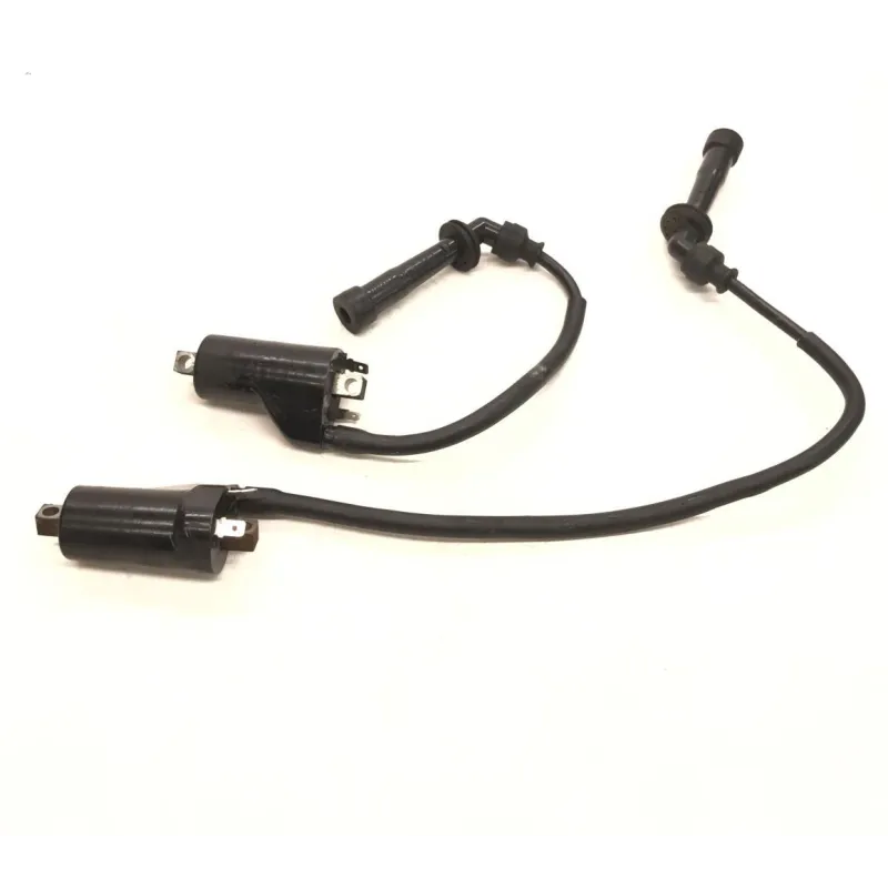 Bobine allumage CAGIVA RAPTOR 650 2001-2006