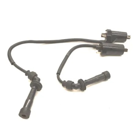 Bobine allumage CAGIVA RAPTOR 650 2001-2006