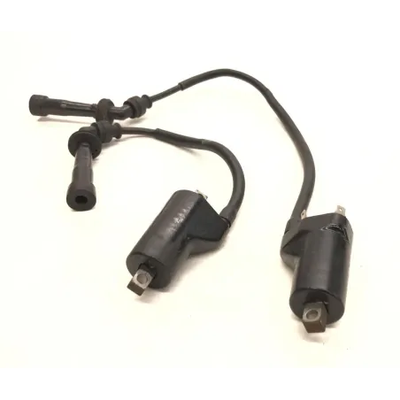 Bobine allumage CAGIVA RAPTOR 650 2001-2006