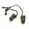 Bobine allumage CAGIVA RAPTOR 650 2001-2006