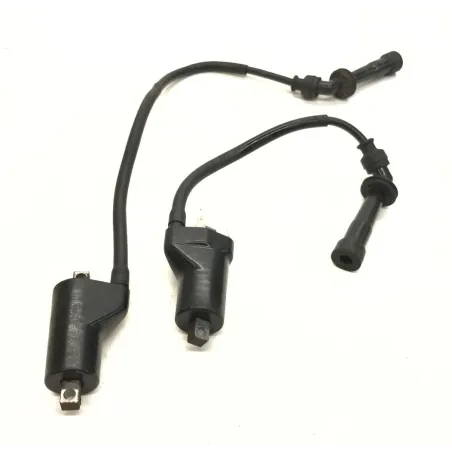 Bobine allumage CAGIVA RAPTOR 650 2001-2006