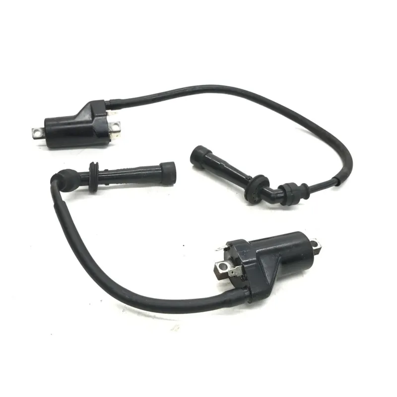 Bobine allumage CAGIVA RAPTOR 650 2001-2006