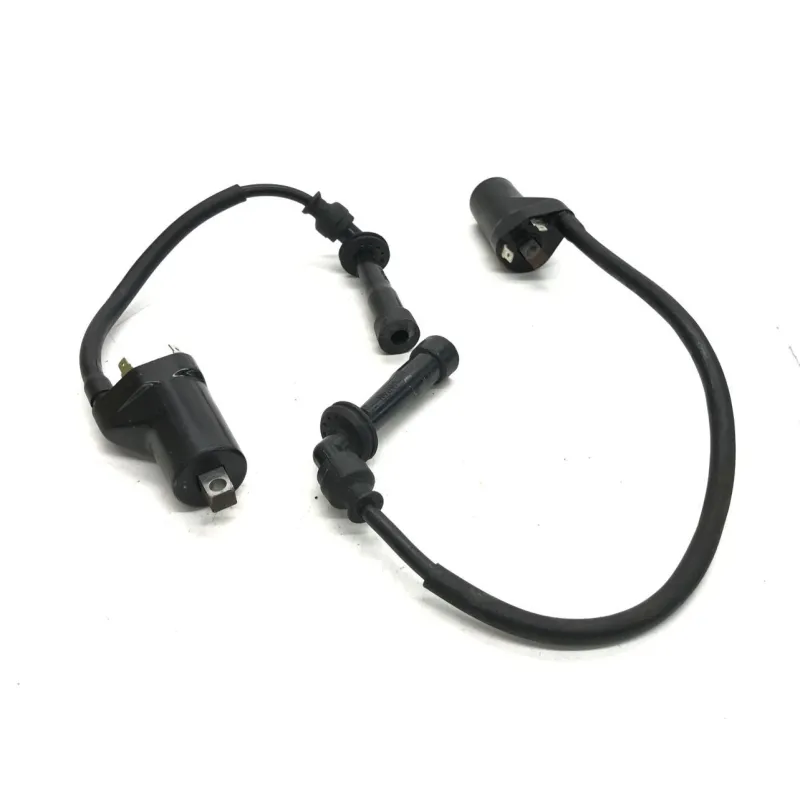 Bobine allumage CAGIVA RAPTOR 650 2001-2006